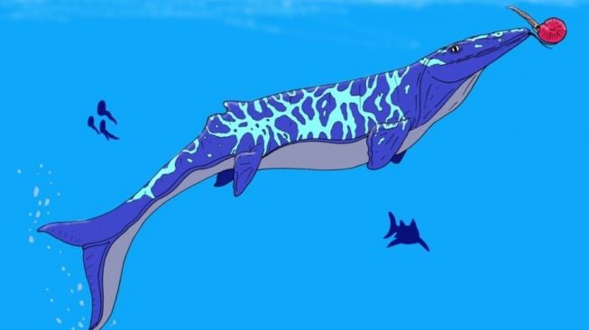 Mosasaurus. [Dinomuseum]