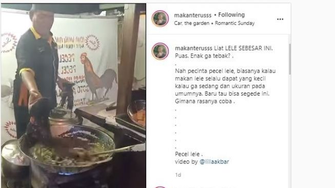 Bikin kaget! Pedagang Ini Goreng Lele Raksasa, Ukurannya Hampir 1 Lengan Manusia