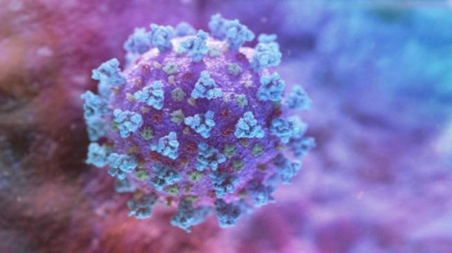 Warga Kepri Diminta Waspada Terhadap Penyebaran Virus Flu Singapura
