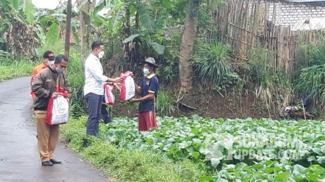 Presiden Jokowi Bakal Beli Caisim dari Petani di Sukabumi