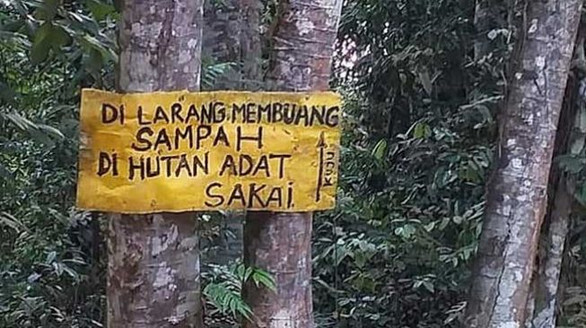 Upaya Sakai Jaga Rempah Tetap Berlimpah di Tengah Hutan Adat Makin 'Terjajah'