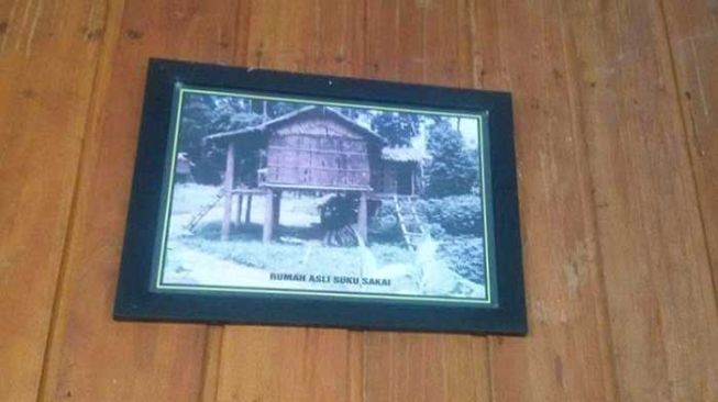 Potret rumah adat suku Sakai masa lampau yang dipajang di dinding rumah adat suku Sakai. [Is]