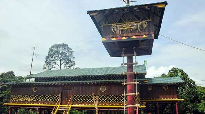 Rumah adat suku Sakai yang telah direvitalisasi, berada di kawasan Hutan Adat Suku Sakai Perbatinan Sobanga, Kecamatan Bathin Solapan, Kabupaten Bengkalis. [Suara.com/Panji Ahmad Syuhada]