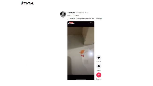 Penemuan darah misterius. [TikTok]