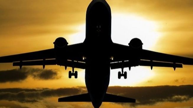 Penerbangan dari Bali Diwaspadai Bawa PMK Sapi ke Australia