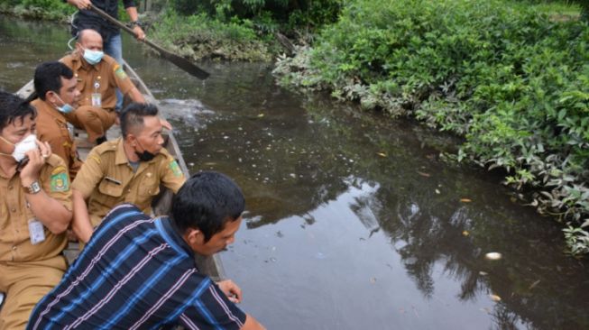 Ribuan Ikan Mati dan Air Menghitam di Langkat, Diduga Tercemar Limbah