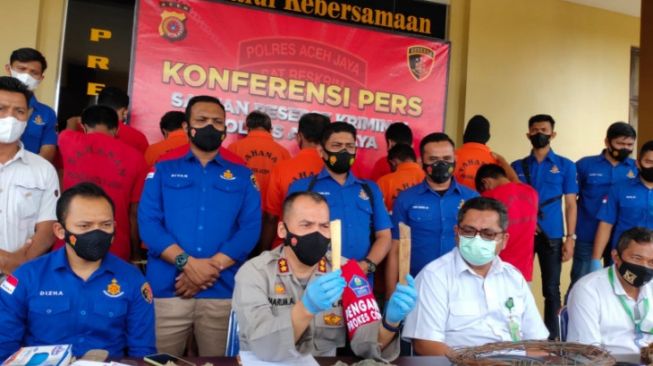 Polisi Tangkap 11 Orang Diduga Pembunuh 5 Gajah di Aceh Jaya