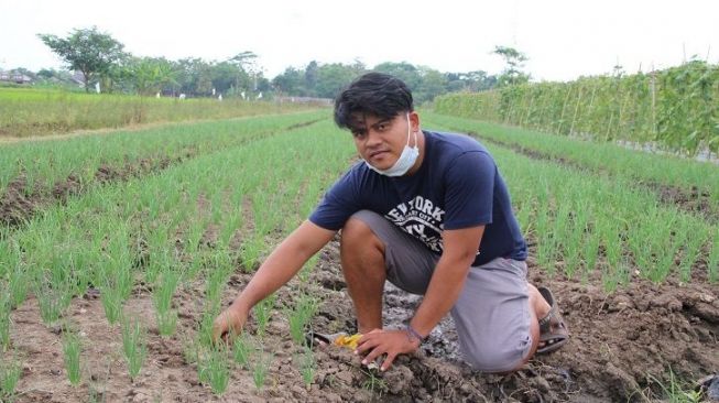 Kisah Pemuda di Klaten, Tetap Bekerja di Hotel Meski Sukses Menjadi Petani Bawang