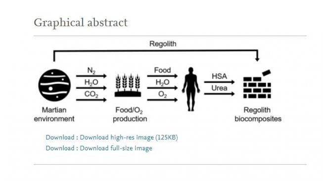 Bahan material rumah astronaut di Mars. [Materials Today Bio]