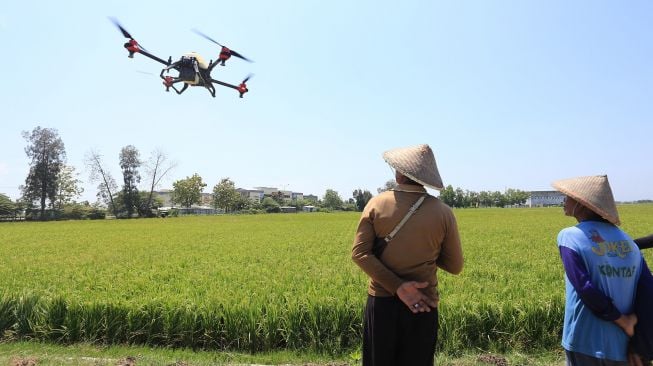 Petani melihat pesawat tanpa awak (Drone) yang digunakan untuk menyemprotkan cairan pestisida di areal sawah desa Krangkeng, Kecamatan Krangkeng, Indramayu, Jawa Barat, Kamis (16/9/2021). ANTARA FOTO/Dedhez Anggara