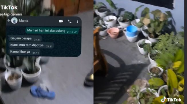 Tak Bisa Masuk Rumah, Pria Harus Cari Kunci di Puluhan Pot Bunga Bak Berburu Harta Karun (TikTok)