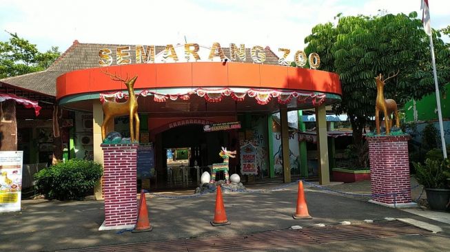 4 Aktivitas Wisata yang Bisa Dilakukan di Kebun Binatang Semarang atau Semarang Zoo