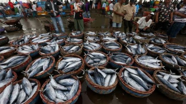 DKP Dorong Swasta Bangun Pabrik Pengalengan Ikan di Kepri