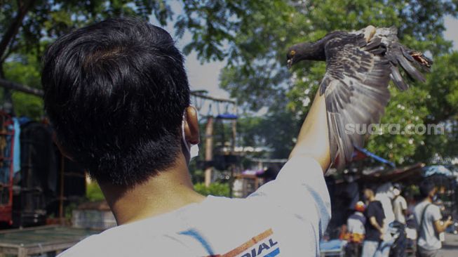 Pengunjung menjajal kemampuan burung dara yang dijual di Pasar Curug, Tangerang, Banten, Sabtu (18/9/2021). [Suara.com/Hilal Rauda Fiqry]