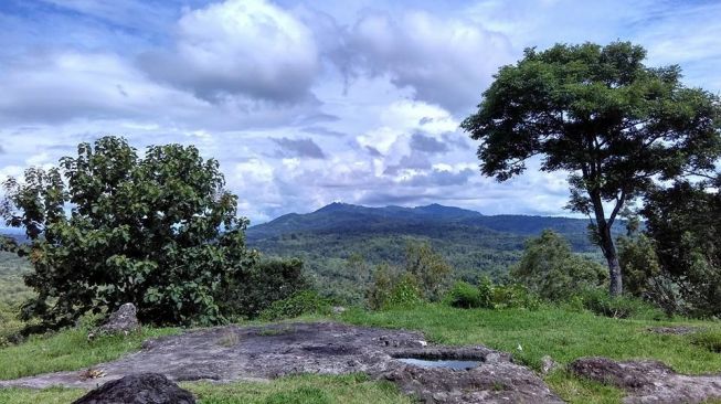 Gunung Taruwongso. [desawatubonang1909]