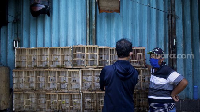 Pengunjung memilih burung di pasar Curug, Tangerang, Banten, Sabtu (18/9/2021). [Suara.com/Hilal Rauda Fiqry]