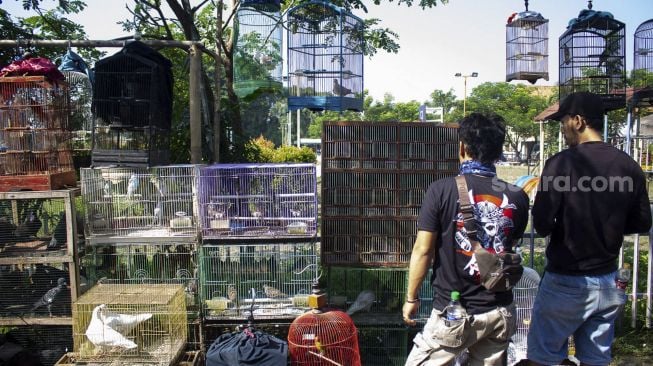 Pengunjung memilih burung di pasar Curug, Tangerang, Banten, Sabtu (18/9/2021). [Suara.com/Hilal Rauda Fiqry]