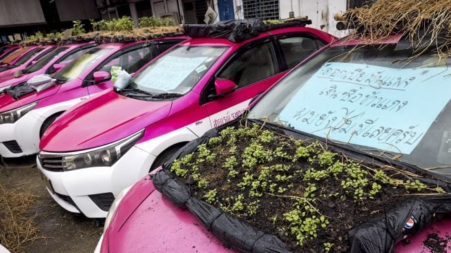 Tanaman ditanam di kap salah satu taksi yang tidak berfungsi karena penurunan bisnis akibat COVID-19 di Bangkok, Thailand, pada (15/9/2021). [Jack TAYLOR / AFP]