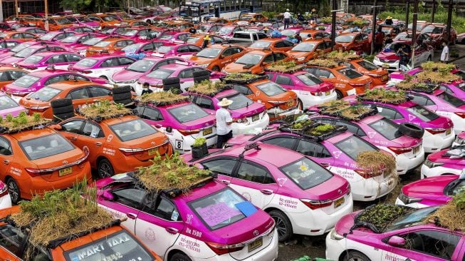 Kebun sayur terlihat di atap taksi yang tidak berfungsi karena penurunan bisnis akibat COVID-19 di Bangkok, Thailand, pada (15/9/2021). [Jack TAYLOR / AFP]