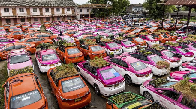 Kebun sayur terlihat di atap taksi yang tidak berfungsi karena penurunan bisnis akibat COVID-19 di Bangkok, Thailand, pada (15/9/2021). [Jack TAYLOR / AFP]