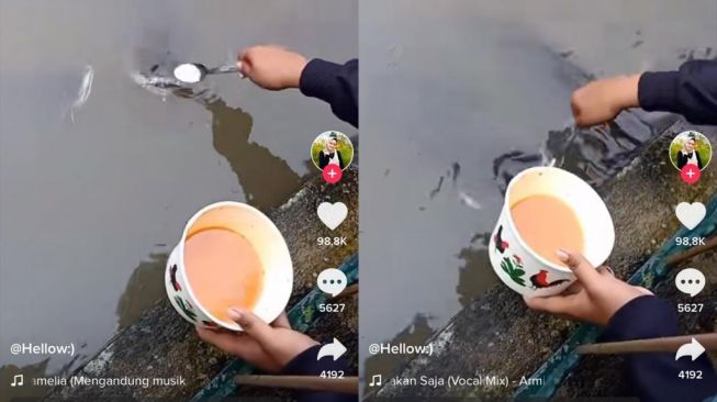 Heboh Video Ikan Lele Doyan Makan Seblak (Dok. TikTok)