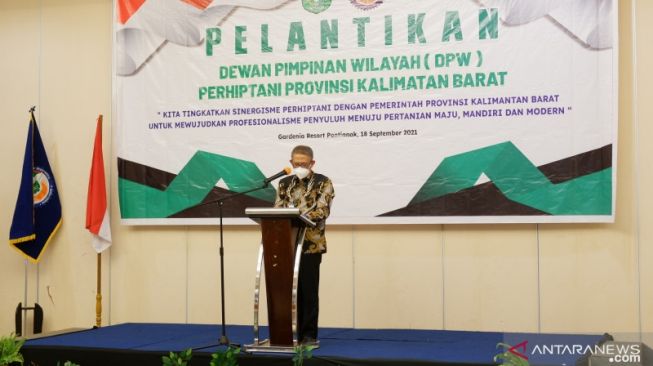 Gubernur Kalbar Surati Presiden Soal Tanaman Kratom, Bandingkan Dengan Zak Adiktif Ganja