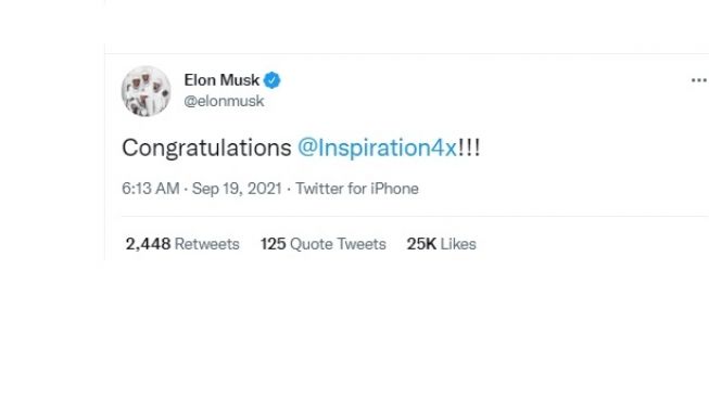 Cuitan Elon Musk. [Twitter]