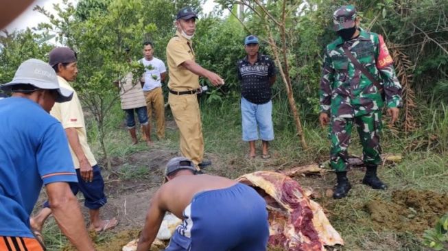 Dua Sapinya Menghilang Dari Kandang, Pemiliknya Cuma Temukan Tulang-Belulang dan Jeroan