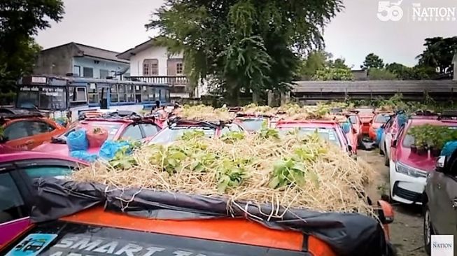 Pemilik perusahaan taksi menggarap tanaman sayur-mayur agar bisa menghidupi para pekerja atau sopirnya [YouTube: The Nation Thailand]