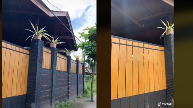 Viral Rumah dengan Pagar Tinggi, Publik Syok Lihat Dalamnya: Yang Tersembunyi Memang Indah