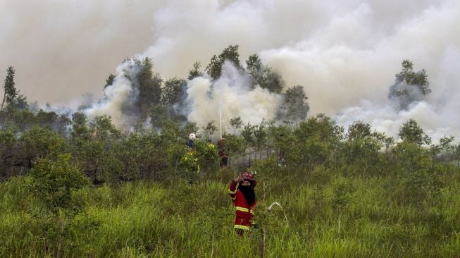 20 Kali Kebakaran Lahan Terjadi di Padang Selama Sebulan Terakhir, Ini Penyebabnya