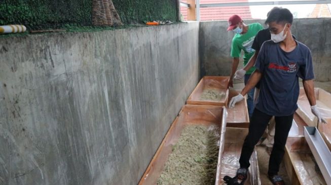 Salah satu finalis #AksiMudaIndonesia, perwakilan mahasiswa BEM FPIK Unsoed Purwokerto sedang melakukan giat pengolahan limbah organisi sebagai media produksi maggot di Desa Banjasari Kulon [Dok Asuransi Astra].