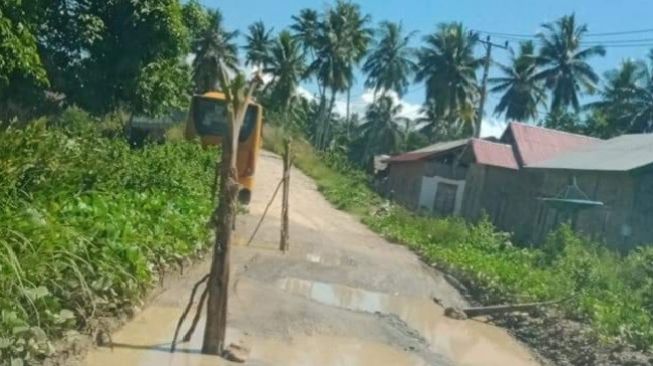 Bosan Nikmati Jalan Rusak Bertahun – Tahun, Warga Kesal Jalan Tanami Pisang