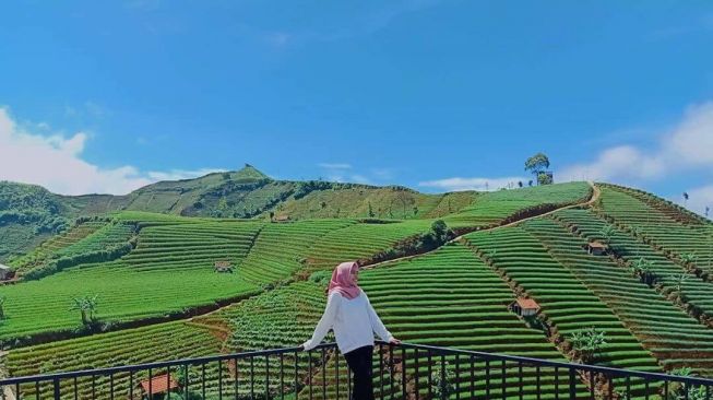 Hilangkan Penat dengan Berlibur di 7 Objek Wisata Memesona di Majalengka