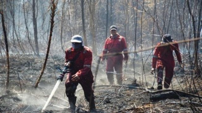Siak Biang Kerok Banyaknya Titik Api di Riau, Sumbang 6 dari 13 Titik