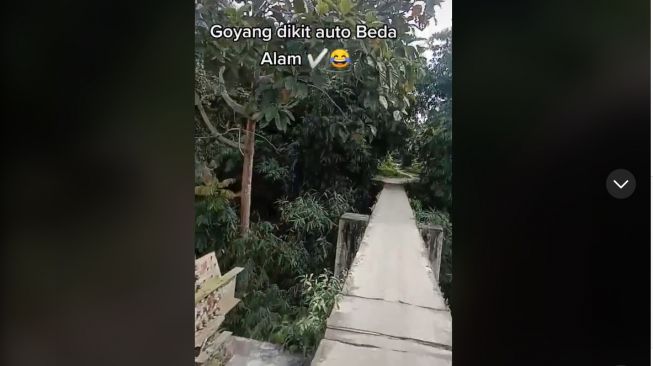 Viral Jembatan Layang Selebar Jalan Setapak, Miring Sedikit Auto Beda Alam (TikTok)