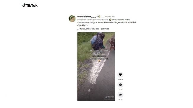 Kakek mengumpulkan beras di jalan. [TikTok]