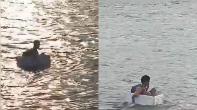 Viral Anak SD Sekolah Arungi Perairan Pakai Gabus, Netizen: Undang ke TV, Bukan yang Joget