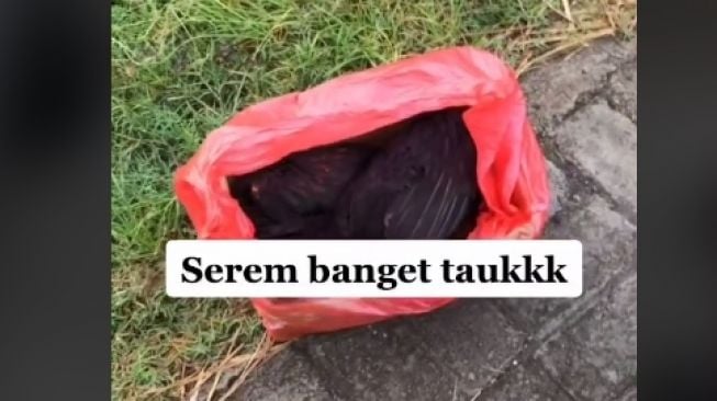 Wanita terima paket misterius (tiktok)