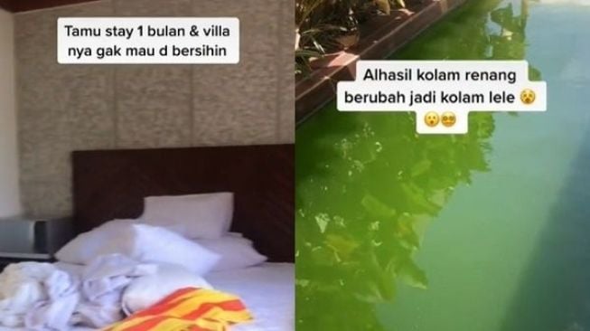 Usai diinapi tamu sebulan, kolam renang berubah jadi kolam lele (TikTok)