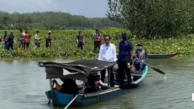 Presiden Jokowi Akan Tanam Mangrove Bersama Masyarakat di Riau