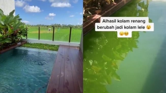 Viral Tamu Menginap 1 Bulan di Vila, Kolam Renang Berubah Jadi Kolam Lele