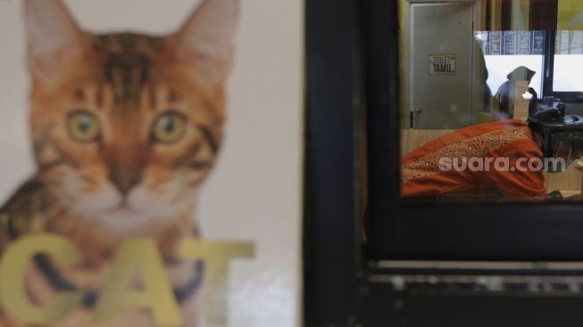 Refleksi pengunjung menikmati hidangan di Kopi Cat Cafe, Kemang, Jakarta, Kamis (23/9/2021). [Suara.com/Angga Budhiyanto]