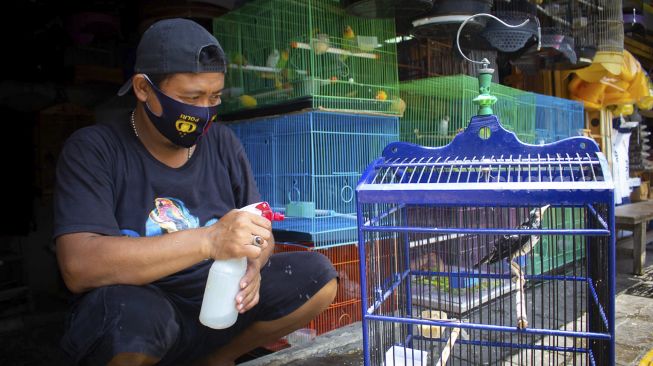 Pedagang memandikan burung di Pasar Barito, Jakarta, Jumat (24/9/2021). [Suara.com/Hilal Rauda Fiqry]