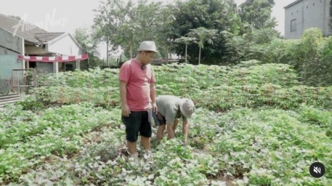 Artis Jadi Petani. (instagram/@narji77)