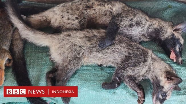 Perdebatan Asul-usul Covid Memicu Konsumsi Satwa Liar di Asia Tenggara