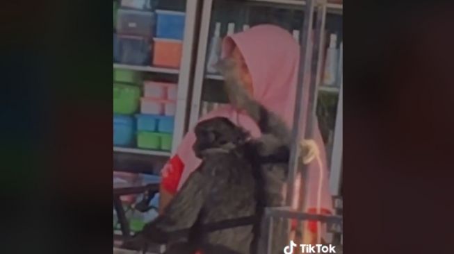 Aksi menggemaskan emak-emak bercanda dengan seekor monyet (tiktok)