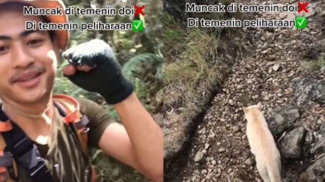 Viral Pria Ini Ajak Kucing Oren Mendaki Gunung, Netizen: Gak Sama Doi?