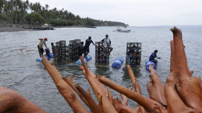 Nelayan membawa apartemen ikan yang akan ditenggelamkan di Pantai Cacalan, Banyuwangi, Jawa Timur, Sabtu (25/9/2021). [ANTARA FOTO/Budi Candra Setya]