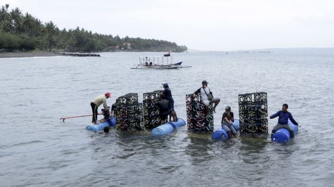 Nelayan membawa apartemen ikan yang akan ditenggelamkan di Pantai Cacalan, Banyuwangi, Jawa Timur, Sabtu (25/9/2021). [ANTARA FOTO/Budi Candra Setya]